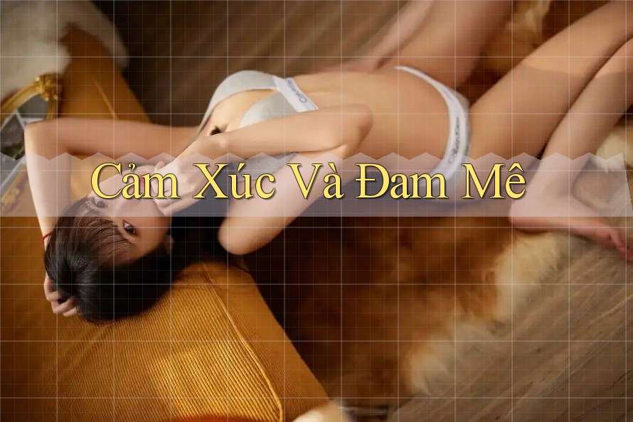 Cảm Xúc và Đam Mê Cảm Xúc và Đam Mê