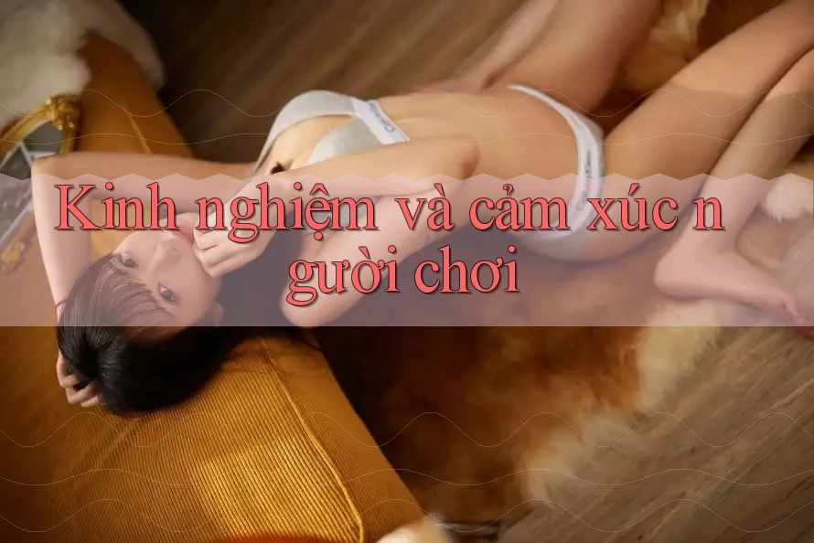 Kinh nghiệm và cảm xúc người chơi Kinh nghiệm và cảm xúc người chơi
